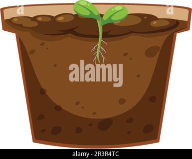 Illustrazione del concetto del processo di germinazione dei semi Illustrazione Vettoriale