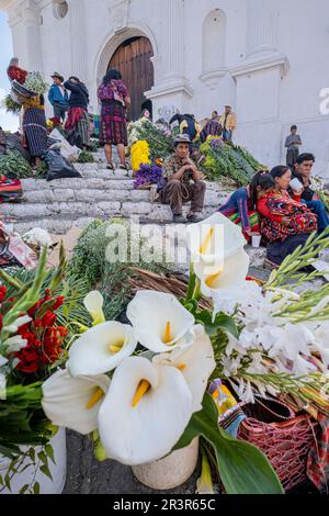 mercado de flores frente a la Iglesia de Santo Tomás, Chichicastenango, Quiché, Guatemala, America Centrale. Foto Stock