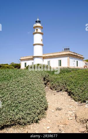 Faro de Cap Salines, Estacion de Investigacion costanera, IMEDEA, Maiorca, isole Baleari, Spagna, Europa. Foto Stock