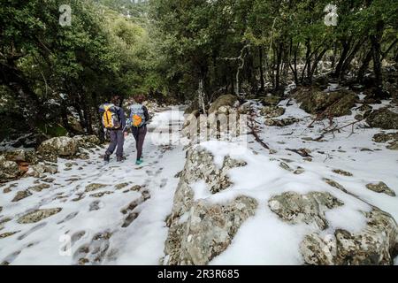 Escursionisti nella foresta di Son Palou, Valle d'Oriente, Bunyola, Maiorca, Isole Baleari, Spagna. Foto Stock