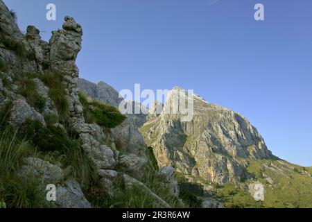 Morro d'en Pelut, 1319 metro. Escorca.Sierra de Tramuntana.Mallorca.Islas Baleares. España. Foto Stock