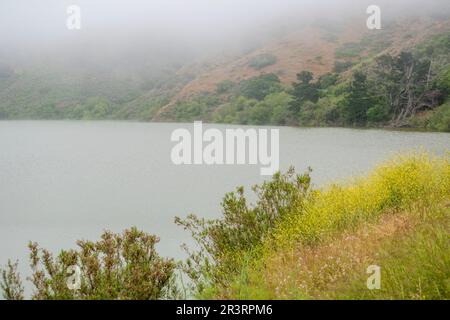 L'interno dell'isola di Catalina vale la pena fare un viaggio esplorativo al largo della costa della California meridionale. Foto Stock