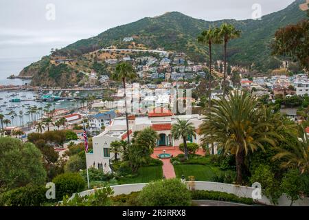 La città di Avalon è il principale centro abitato dell'isola di Catalina, California, USA. Foto Stock