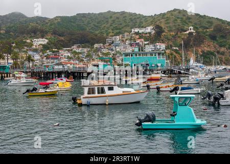 La città di Avalon è il principale centro abitato dell'isola di Catalina, California, USA. Foto Stock