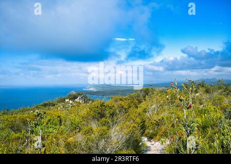 Vista con vegetazione nativa dal Monte Barren, sulla costa del Fitzgerald River National Park, nel sud-ovest dell'Australia occidentale Foto Stock