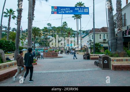 La città di Avalon è il principale centro abitato dell'isola di Catalina, California, USA. Foto Stock