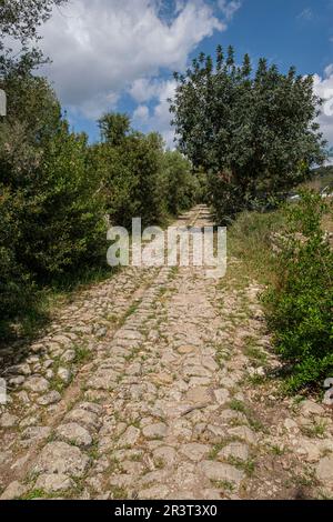 Camino de Bànyols, Alaró, Maiorca, isole Baleari, Spagna. Foto Stock