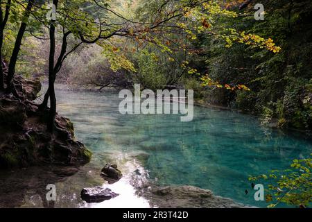 Nacedero del rio Urederra, parque Natural de Urbasa-Andia, comunidad foral de Navarra, Spagna. Foto Stock