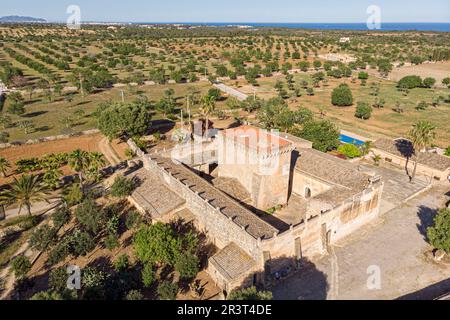 Son Fortesa Vell, Manacor, regione Llevant, Mallorca, Isole Baleari, Spagna. Foto Stock