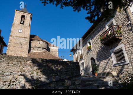 La Iglesia de San Martín de Heche, siglo XIX, valle de Hecho, pirineo aragones,Huesca,Spagna. Foto Stock