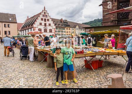 Mercado al aire libre, Münsterplattz, Friburgo de Brisgovia, Germania, Europa. Foto Stock