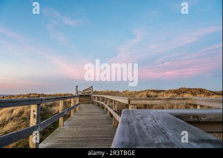 Pontile in legno Foto Stock