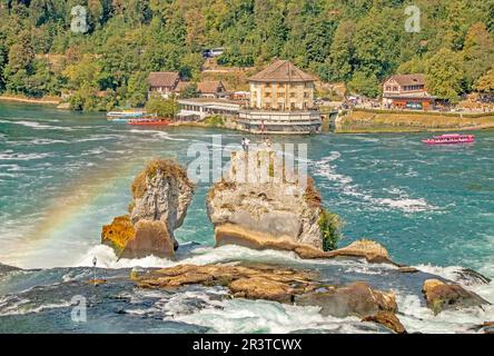 Cascate del Reno vicino Schaffhausen con SchlÃ¶ssli WÃ¶rth Foto Stock