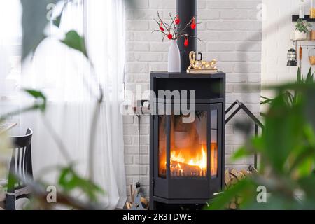 Decorazioni di San Valentino vicino a stufa con camino e legna da ardere. Accogliente casa cuore in interni con vaso piani, giorno di San Valentino in f Foto Stock