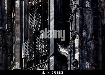 I cesti originali sulla torre di St Lambertikirche, Muenster, Germania, Europa Foto Stock