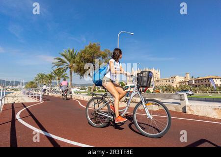 Pista ciclabile Foto Stock