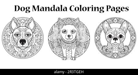 Una collezione vettoriale di pagina di coloring di mandala in bianco e nero. Illustrazione Vettoriale