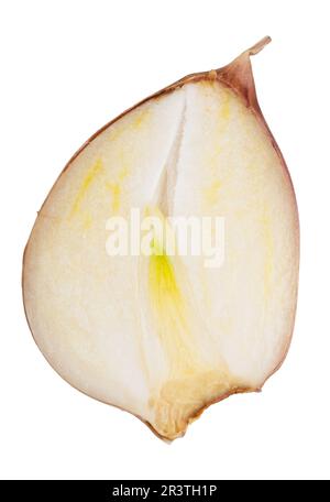 Tagliare a fette gli spicchi d'aglio. Macro Foto Stock