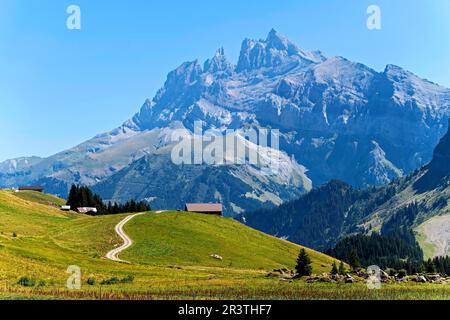 Catena montuosa Dents du Midi, Plateau de Barmaz, regione Dents du Midi, Vallese, Svizzera Foto Stock