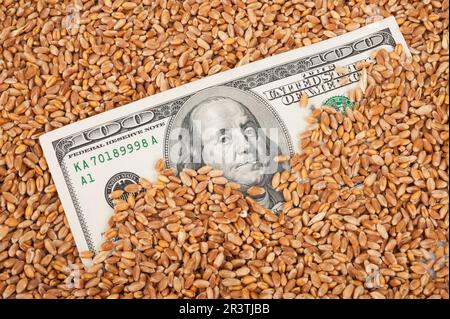 Concetto di reddito agricolo Foto Stock