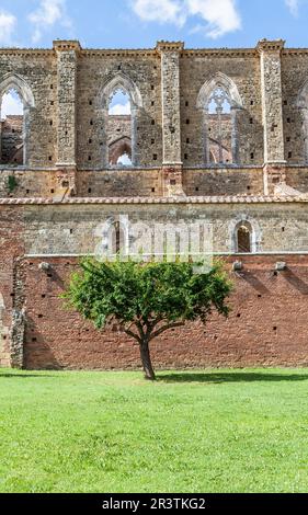 Italia, regione Toscana. Abbazia medievale di San Galgano Foto Stock