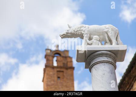 Toscana, Italia. Statua del leggendario lupo con Romolo e Remo, fondatori di Roma Foto Stock