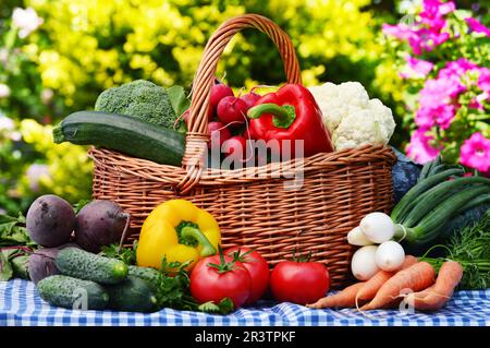 Un assortimento di verdure in cesto di vimini in giardino Foto Stock