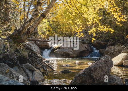 Piccola cascata, Praderas de Colomers, Pirenei, Lleida, Spagna Foto Stock