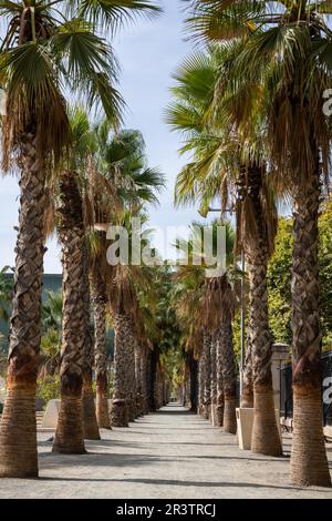 Emabecadero Muelle Dos, Malaga, Spagna Foto Stock