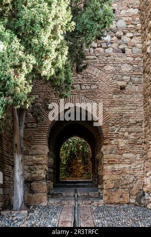 Patio de los Surgidores. Palacio Taifa, Alcazaba, Malaga, Spagna Foto Stock