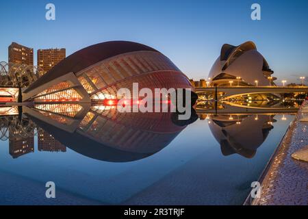 Palazzo delle Arti della Regina Sofia e Planetario L Hemisferic, Valencia, Spagna Foto Stock