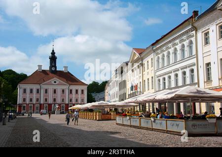 Municipio, Tartu, Estonia, stati baltici Foto Stock