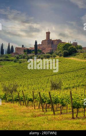 Castello di Poggio alle Mura, Montalcino, Toscana, Italia Foto Stock