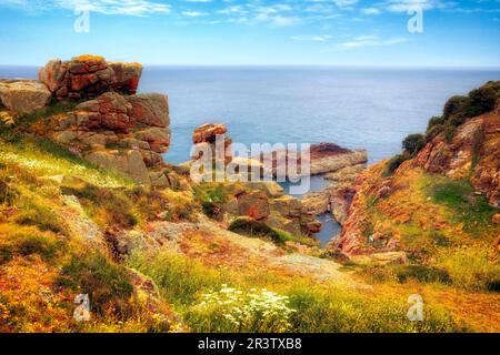 Formazione rocciosa, Portelet comune, San Brelade, Jersey, Regno Unito Foto Stock
