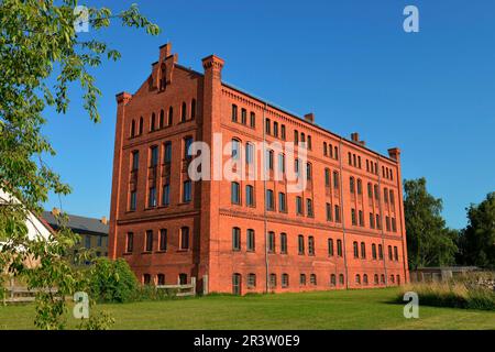 Magazzino del tabacco, Vierraden, Brandeburgo, Germania Foto Stock