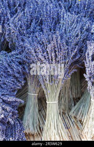 Lavanda ad un mercato in Provenza - Lavanda Foto Stock
