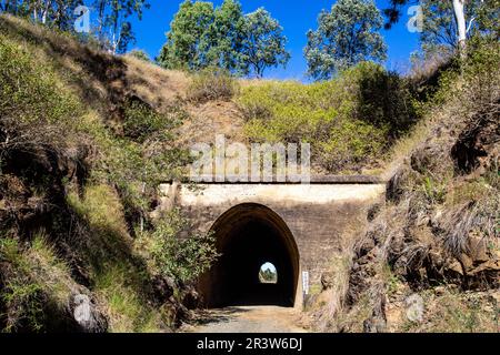 Il tunnel ferroviario di Yimbun, costruito tra il 1909 e il 1910, è un tunnel dritto in cemento 100m a Harlin, Somerset Region, Queensland, Australia. Foto Stock