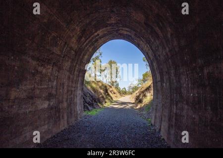 Il tunnel ferroviario di Yimbun, costruito tra il 1909 e il 1910, è un tunnel dritto in cemento 100m a Harlin, Somerset Region, Queensland, Australia. Foto Stock