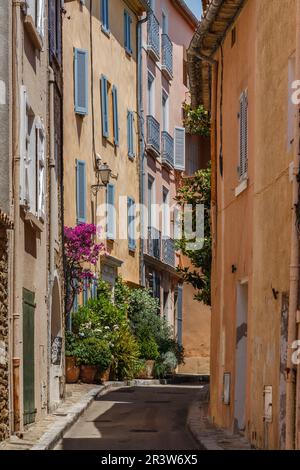 Bormes-les-Mimosas, vicolo con fiori, Provenza, sud della Francia Foto Stock