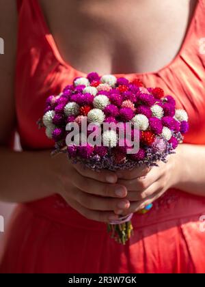 Donna bridesmaid in abito rosa con bouquet nuziale in mani ravvicinate. Matrimonio mazzo di fiori bianchi rosso viola. Belle decorazioni per il giorno di nozze. Va Foto Stock