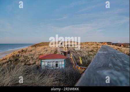 Protezione delle dune Foto Stock