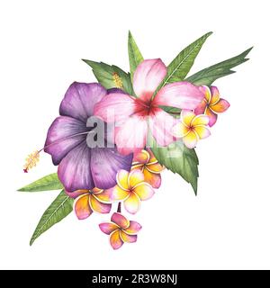 Hibiscus rosa, fiore plumeria isolato su sfondo bianco. Acquerello disegno botanico disegnato a mano per disegno Foto Stock