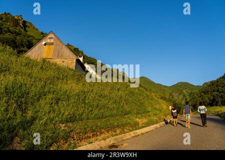 Rifugio Hospice de France e foresta di montagna Foto Stock