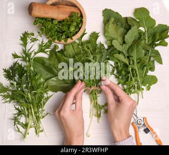 Donna legando mazzo di foglie verdi fresche con spago a tavola di legno bianco, vista dall'alto Foto Stock