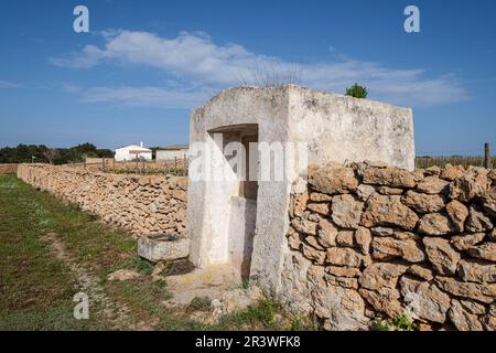 Vigneti della cantina Terramoll Foto Stock