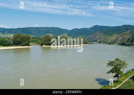 Paesaggio fluviale con fiume Danubio nella regione di Wachau vicino Duernstein in Austria Foto Stock