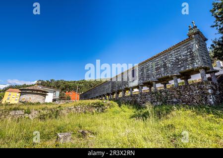 Il lungo e stretto magazzino di grano, horreo a Lira in Galizia, Spagna. Questo particolare horreo è rivendicato essere uno dei più grandi ed originali esempi e. Foto Stock