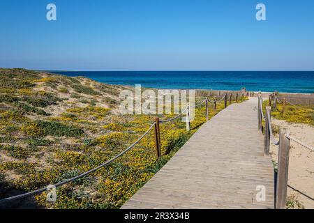 Llevant passeggiata sulla spiaggia Foto Stock