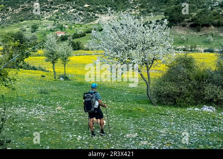 Primavera sulla Via Licia, Bezirgan, Turchia Foto Stock