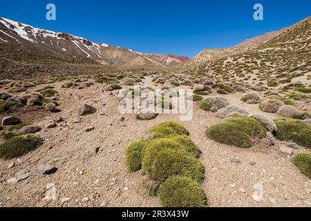 Altopiano di Tarkeddit discesa verso la gola di Arous Foto Stock